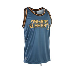 ION basketball