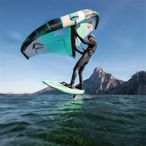 trapezio wing ion rogue