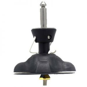 piede albero side on